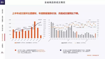 带你读懂海南楼市 2019海南房地产半年报出炉