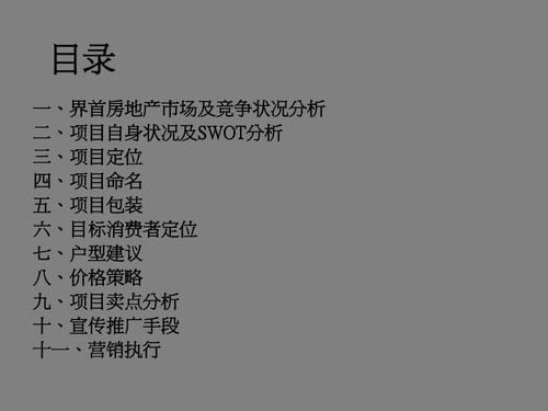 安徽界首某房地产项目营销策划案-66ppt-2008年