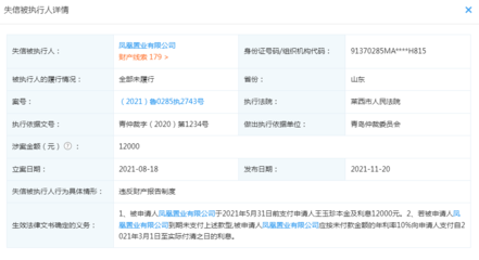 凤凰置业因违反财产报告制度成为失信被执行人